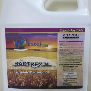 Bactrex: Organic Bactericide 500 ml