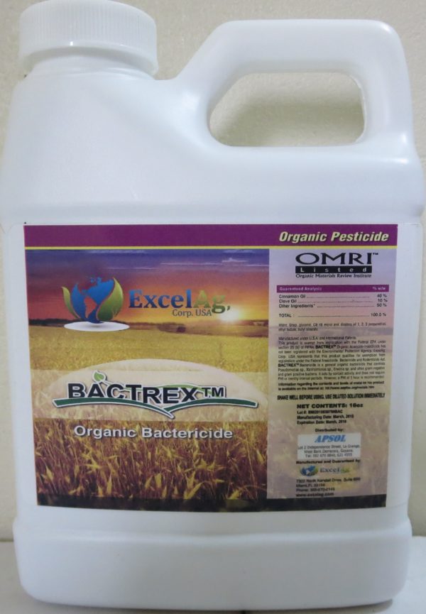 Bactrex: Organic Bactericide 500 ml