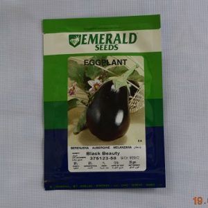 Eggplant Black Beauty Seeds