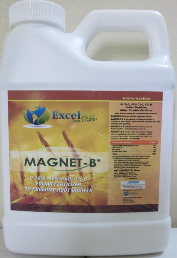 MAGNET B: Calcium + Boron fertilizer 500 ml
