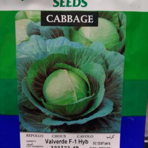 Cabbage F1 Hyb Valverde 1000 seeds/pk