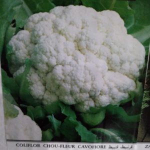 Cauliflower EMCF 933 F1 Hybrid 1000 seeds