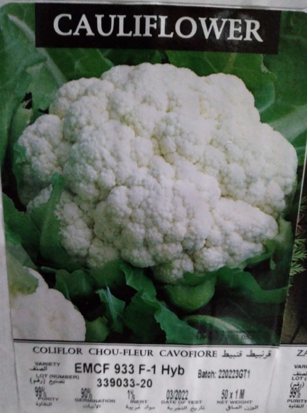 Cauliflower EMCF 933 F1 Hybrid 1000 seeds