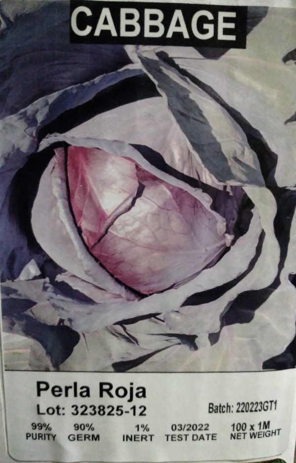 Purple Cabbage - Perla Roja 1000 seeds