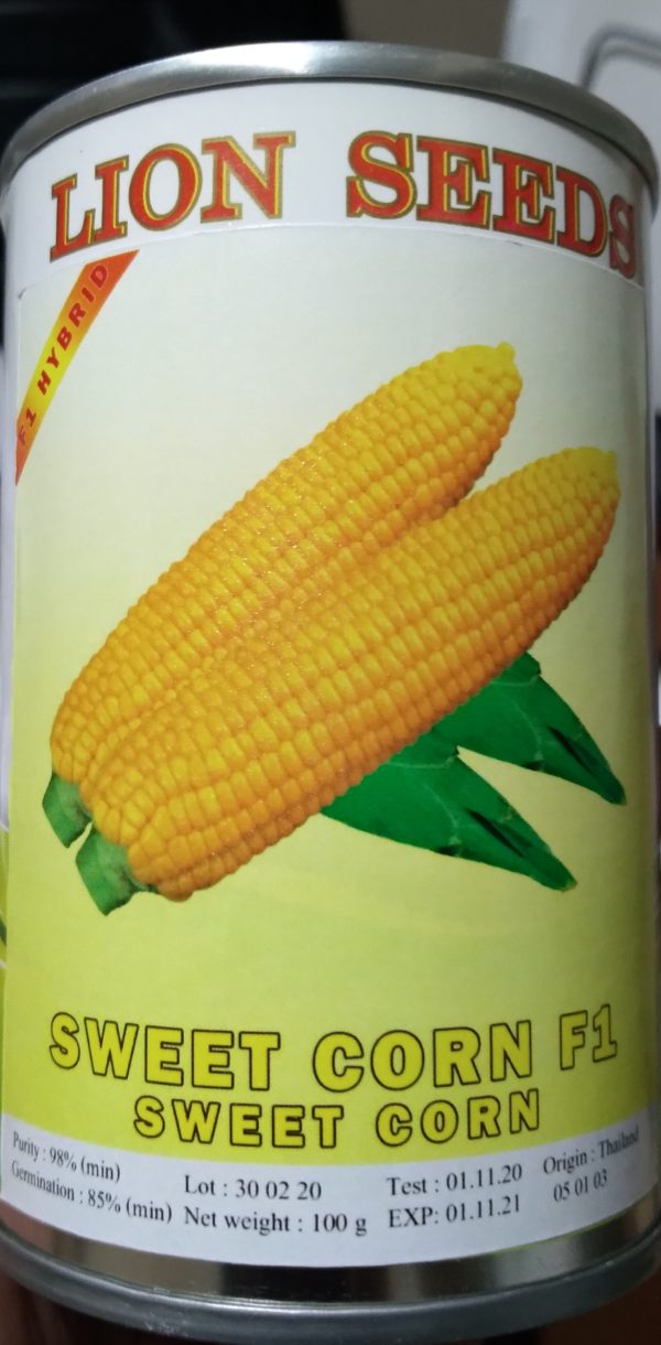 Sweet Corn F1 Hybrid 100gr