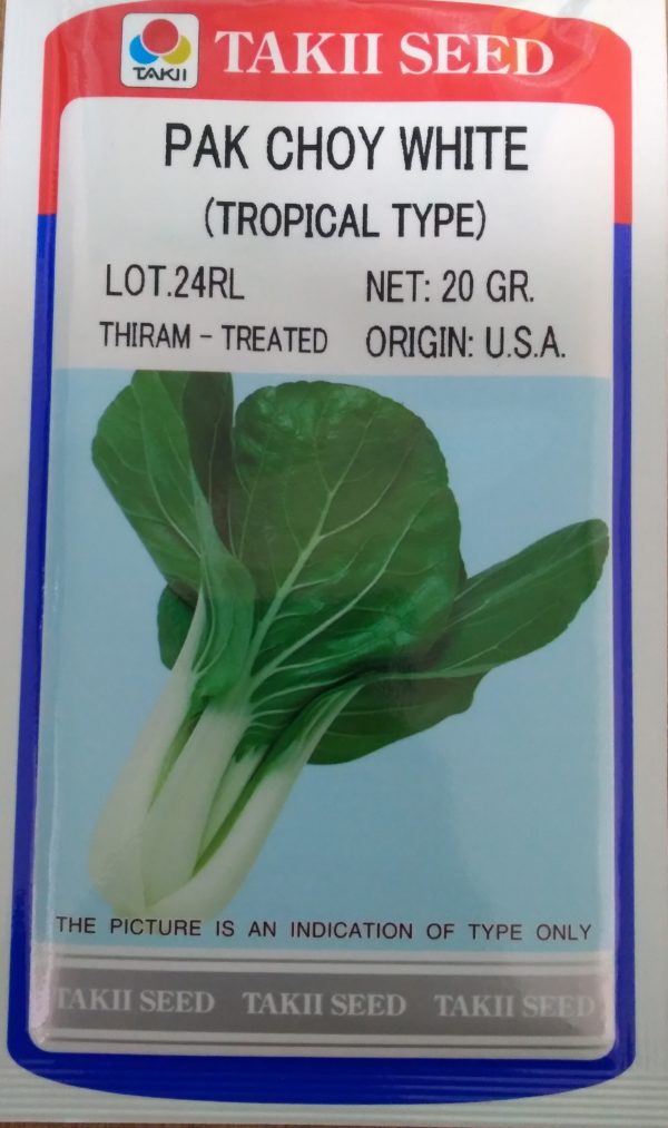Pak Choy White Tropical Type 20gr