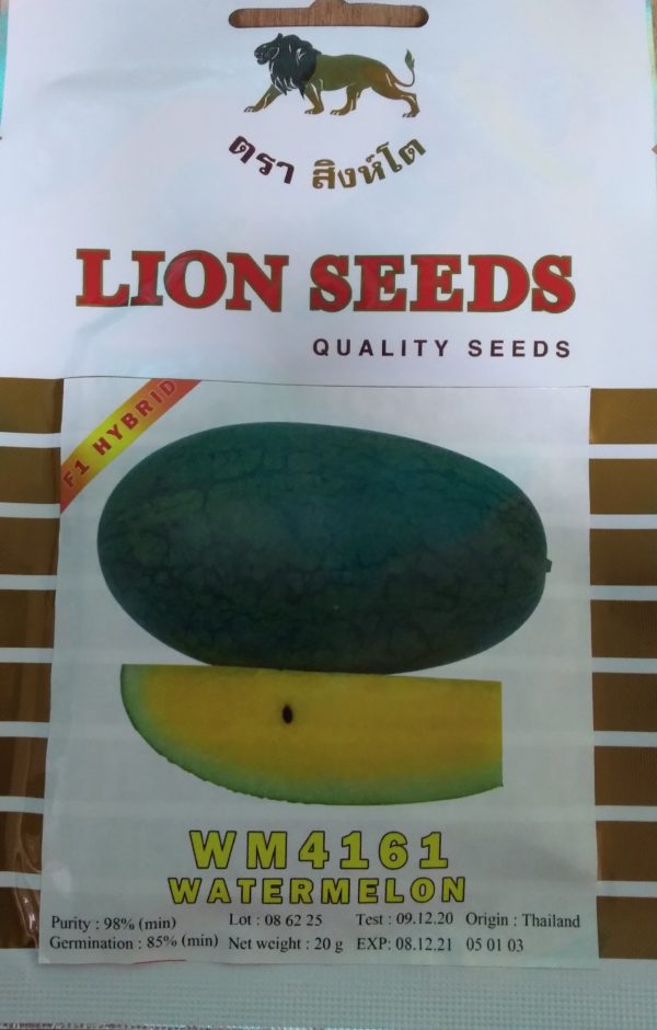 Watermelon WM4161 F1 HYB 20gr