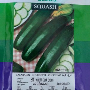 Zucchini EM Twilight Dark Green 25gr